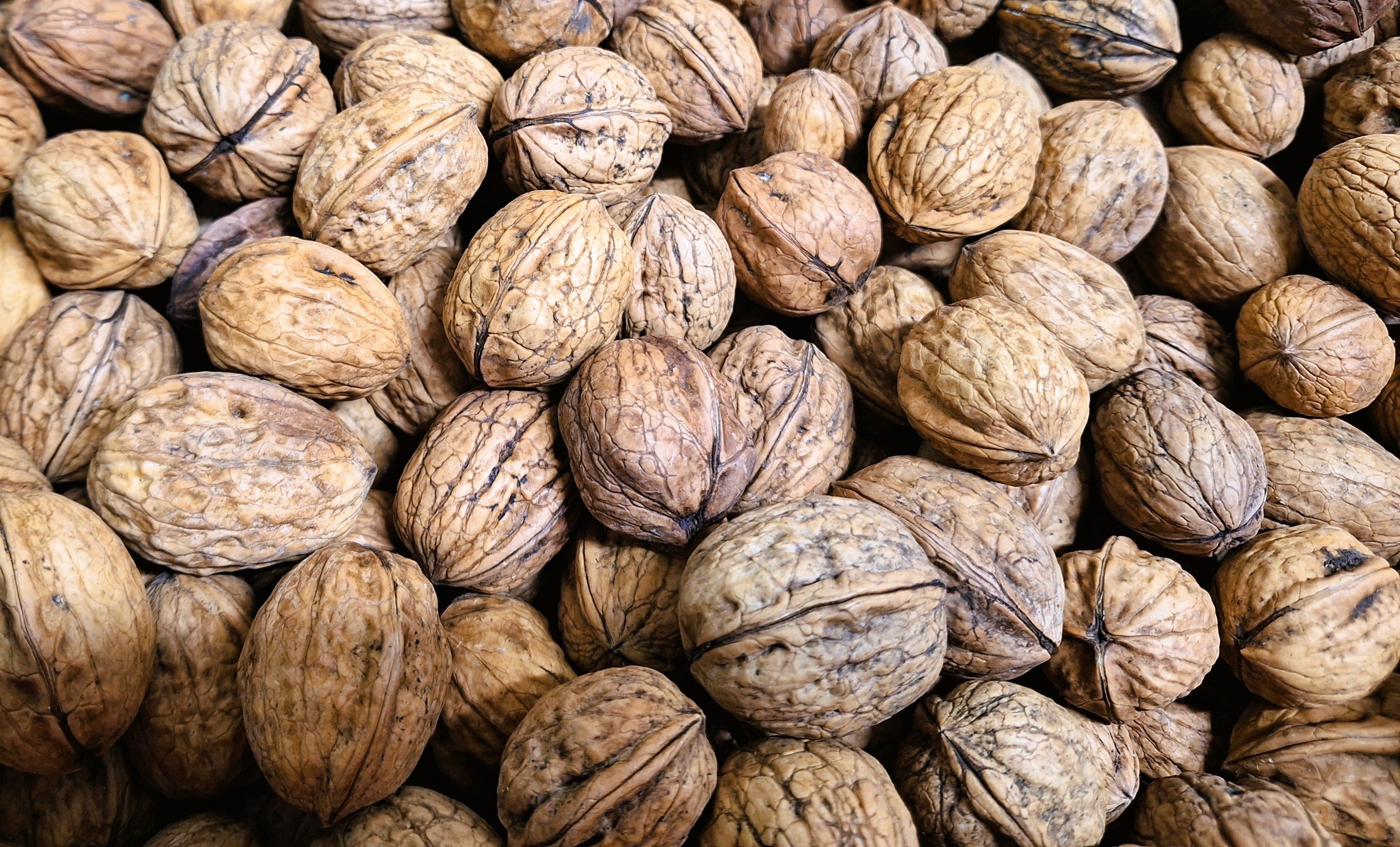 UNGRADED SMALL WALNUTS FOR BIRDS King Valley Walnuts