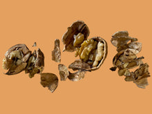 Load image into Gallery viewer, SMALL WALNUTS FOR BIRDS